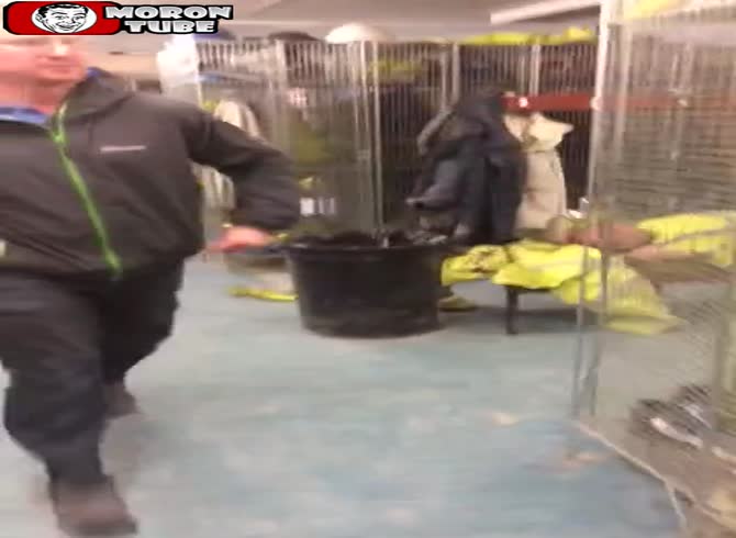 Video :They are really not nice!